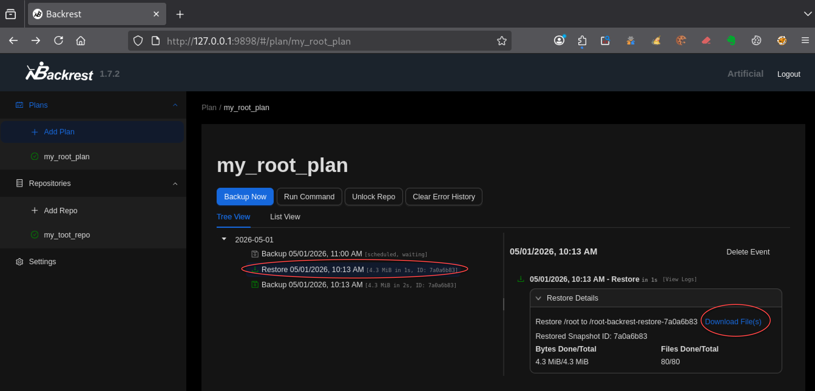 Téléchargement des fichiers restaurés depuis Backrest contenant le répertoire root