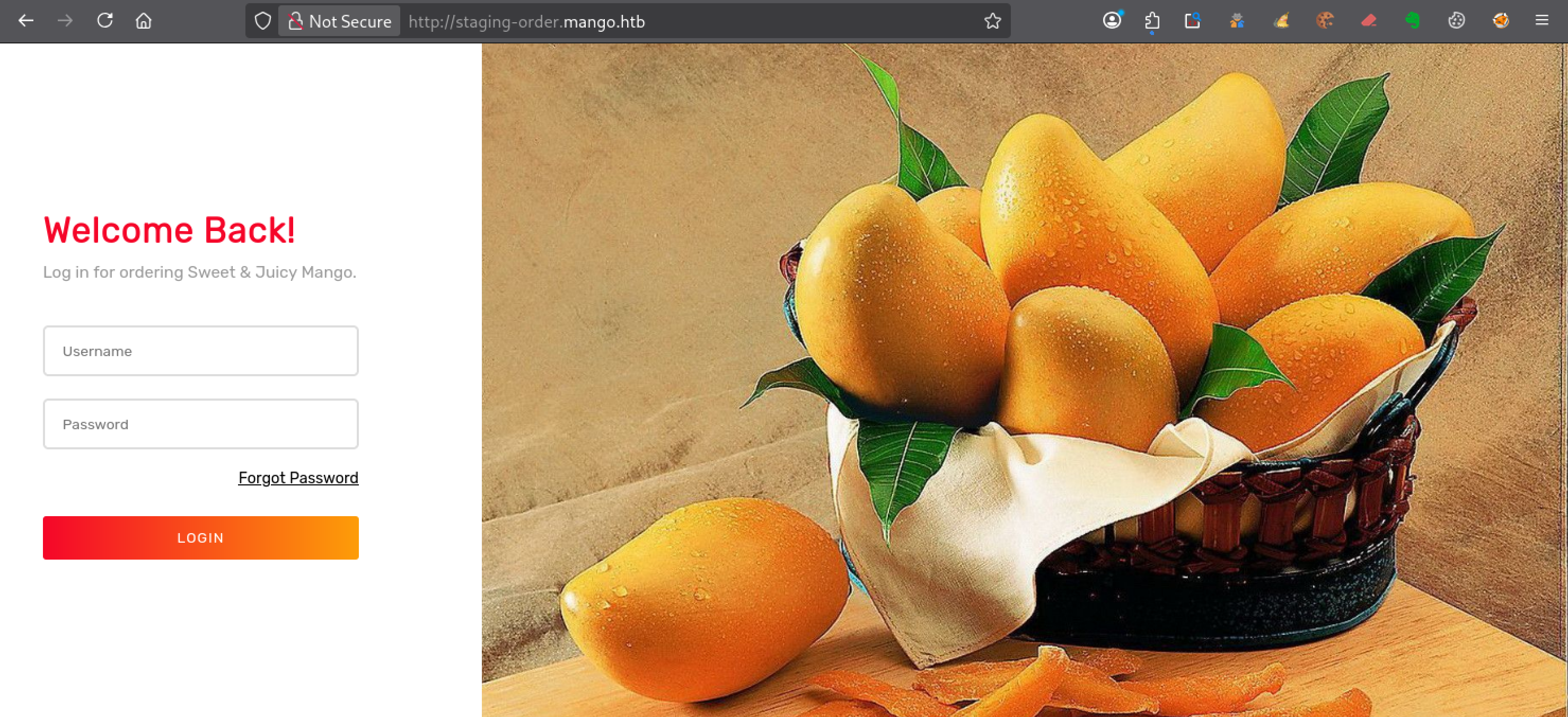 Page de connexion de staging-order.mango.htb