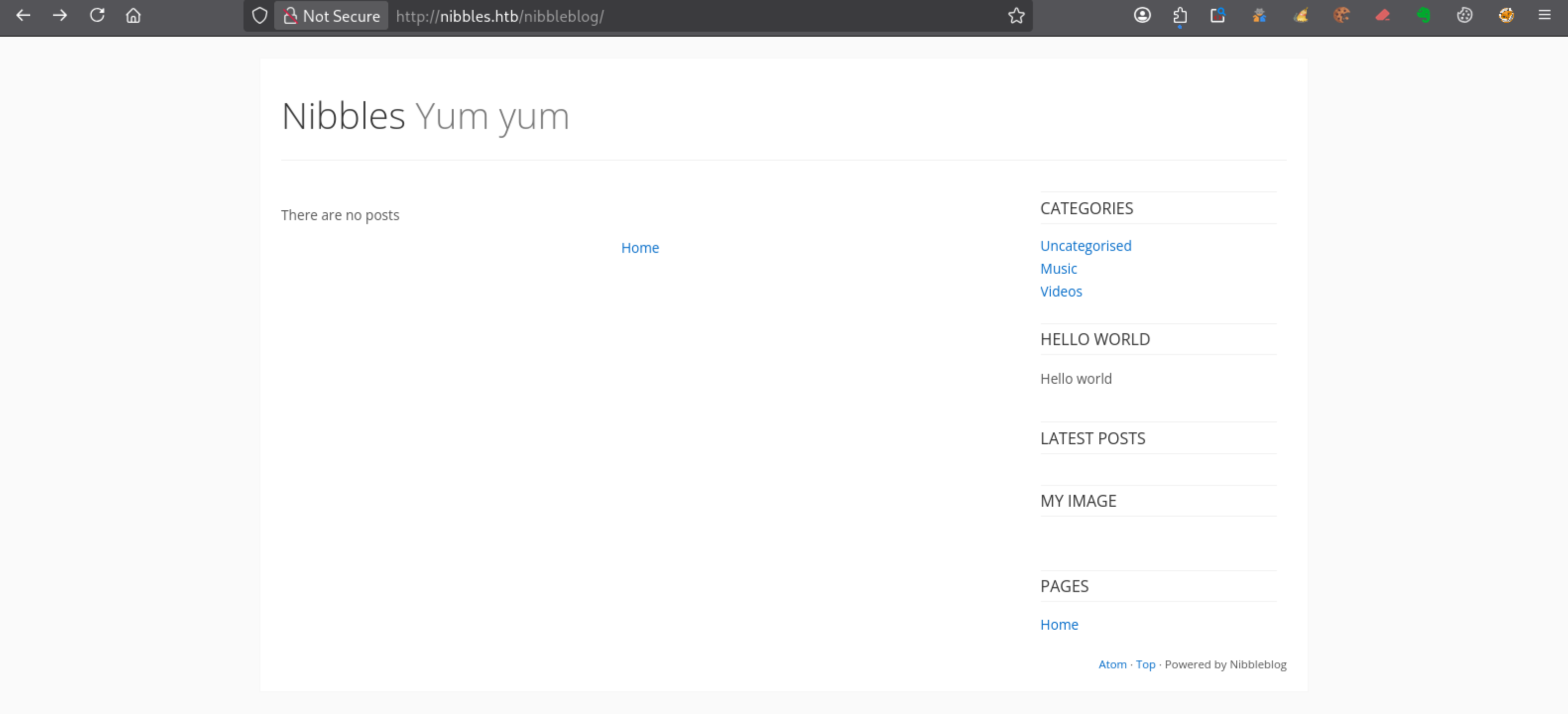 Page d’accueil de Nibbleblog sur la machine Nibbles